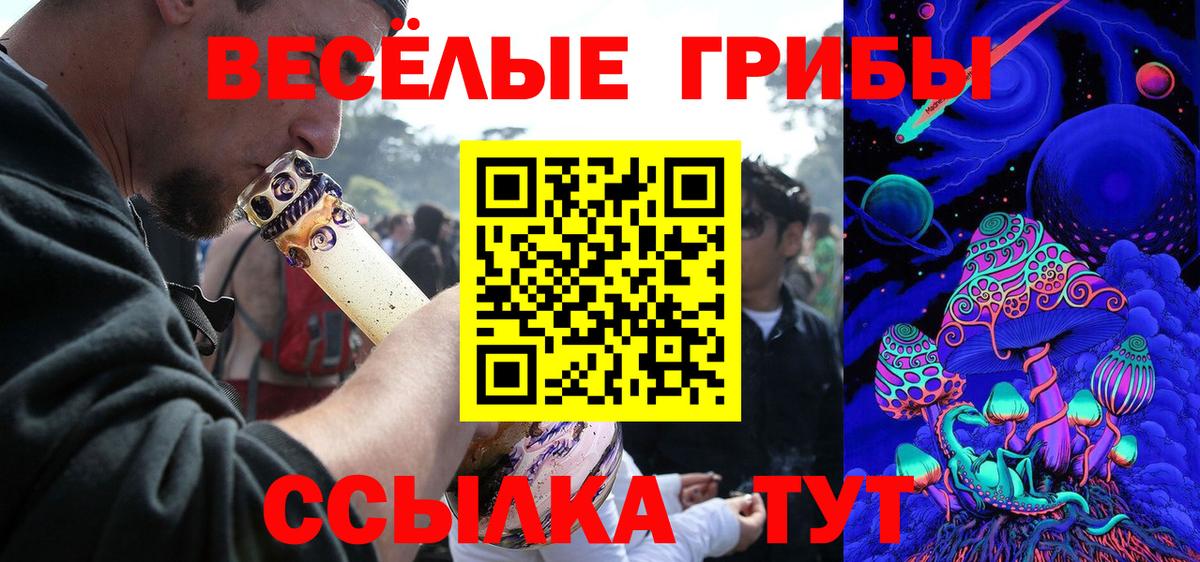 Псилоцибиновые грибы прущие грибы  продажа наркотиков  Нижний Новгород  Вход с VPN 
